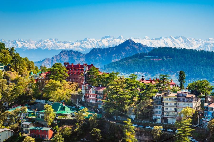 shimla (1)
